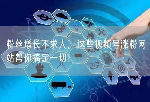 粉丝增长不求人，这些视频号涨粉网站帮你搞定一切！