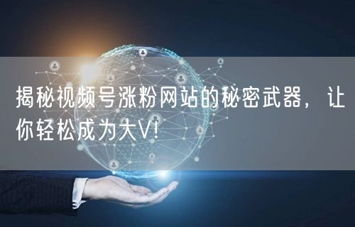 揭秘视频号涨粉网站的秘密武器，让你轻松成为大V！