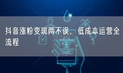 抖音涨粉变现两不误，低成本运营全流程