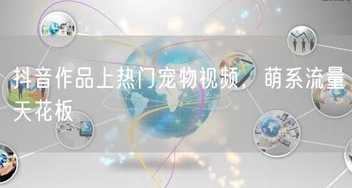 抖音作品上热门宠物视频，萌系流量天花板