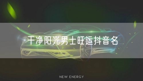 干净阳光男士旺运抖音名