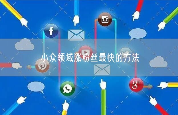 小众领域涨粉丝最快的方法