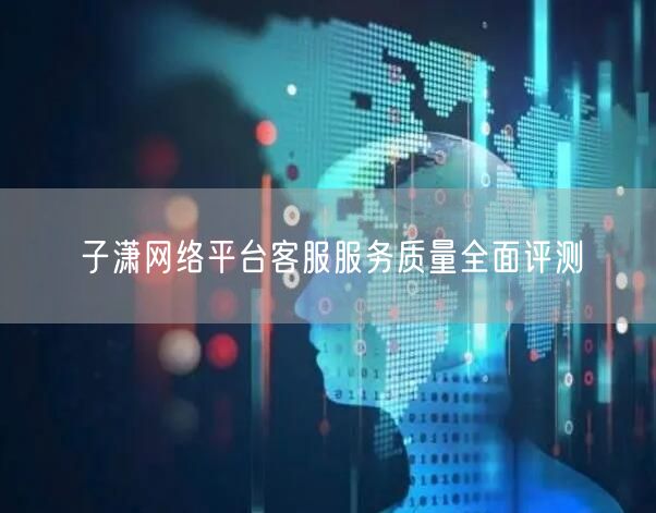 子潇网络平台客服服务质量全面评测