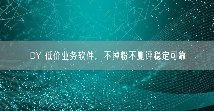 DY 低价业务软件，不掉粉不删评稳定可靠