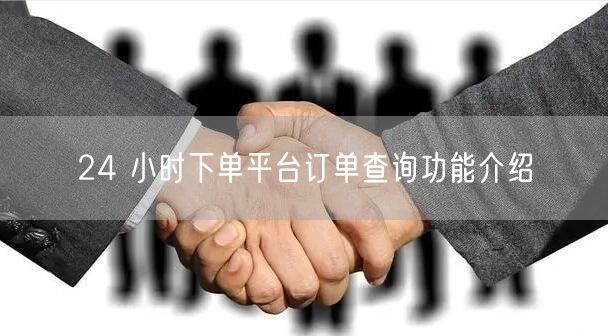 24 小时下单平台订单查询功能介绍