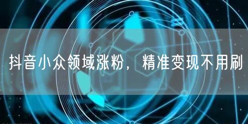 抖音小众领域涨粉，精准变现不用刷