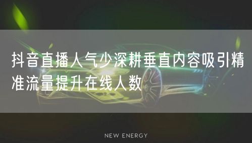 抖音直播人气少深耕垂直内容吸引精准流量提升在线人数