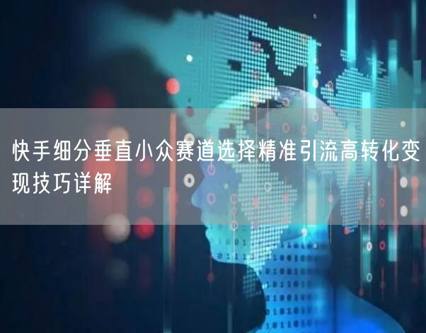 快手细分垂直小众赛道选择精准引流高转化变现技巧详解