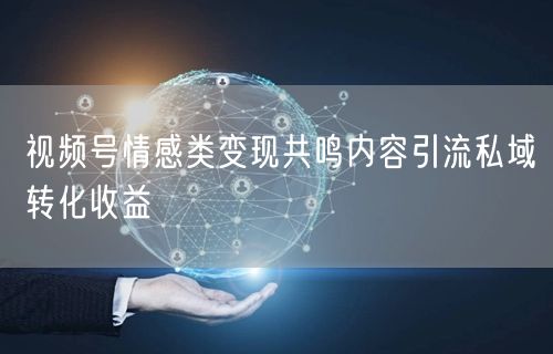 视频号情感类变现共鸣内容引流私域转化收益