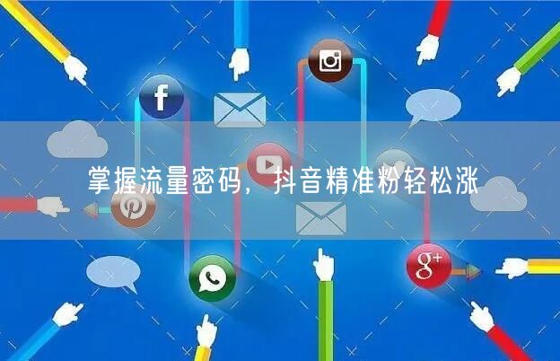 掌握流量密码，抖音精准粉轻松涨