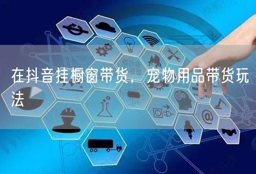 在抖音挂橱窗带货，宠物用品带货玩法