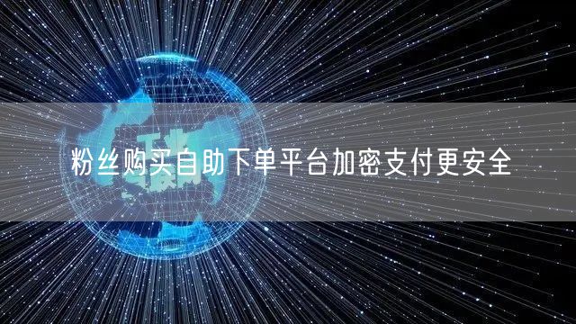 粉丝购买自助下单平台加密支付更安全