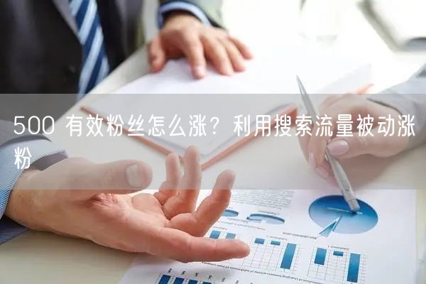 500 有效粉丝怎么涨？利用搜索流量被动涨粉